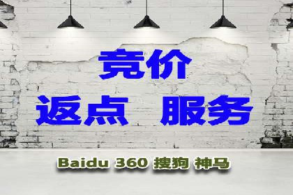 行业领先：竞价SEM托管案例剖析